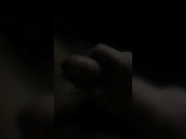  -Zevs15