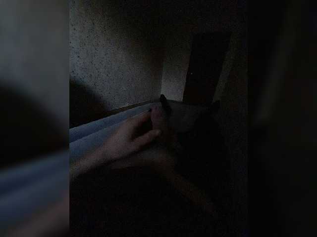  Alexxxlion