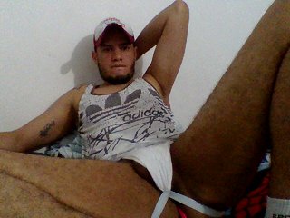  Beartatto