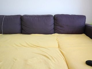  DianaTroj