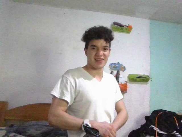  Elpollitorolo