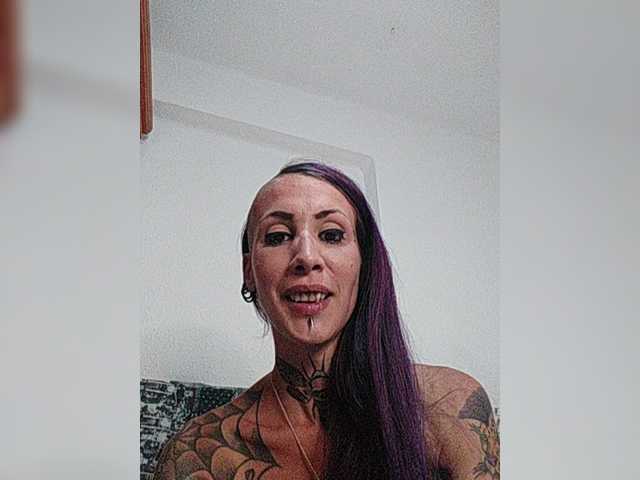  Ladysarcastix