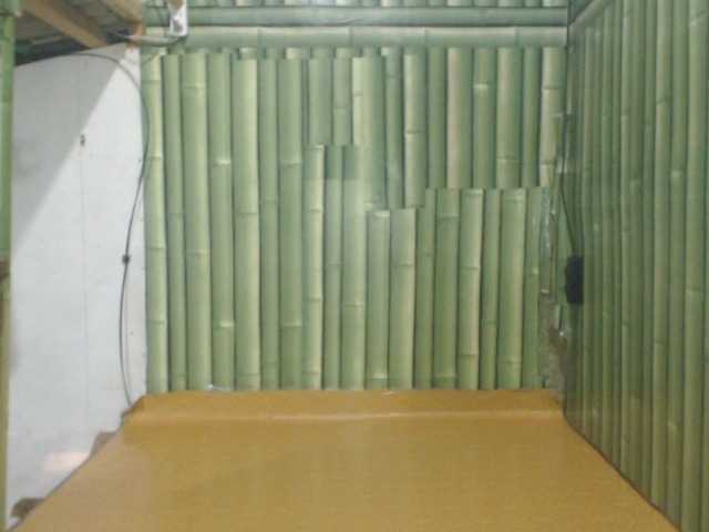  PINAYTSCOCK