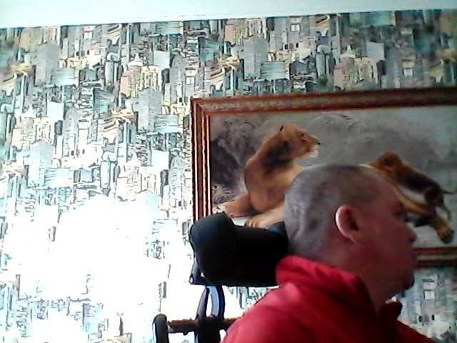  Papa-look