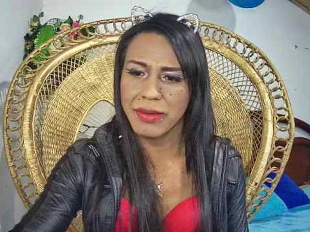 Trans666x