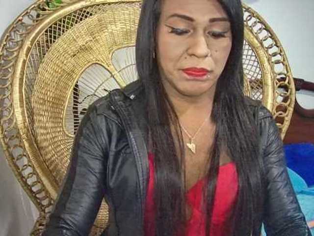  Trans666x