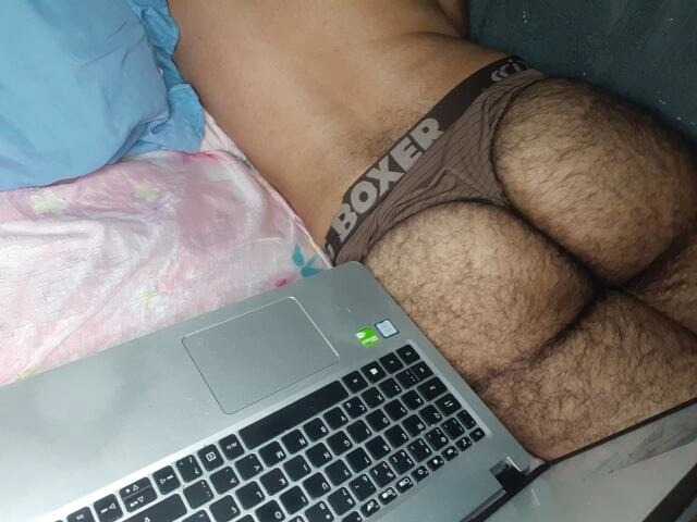  bibinhobear
