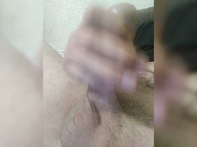  feniks84