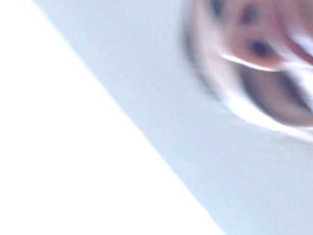  macarenashana