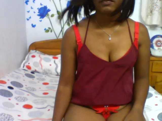  steicy