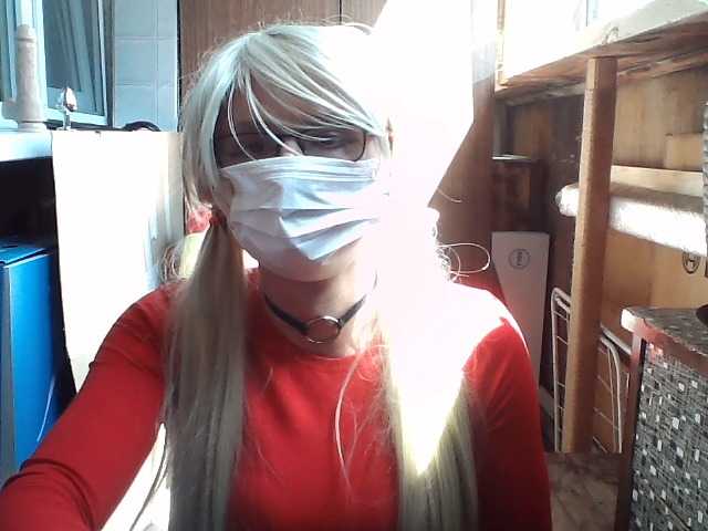  viikaweb