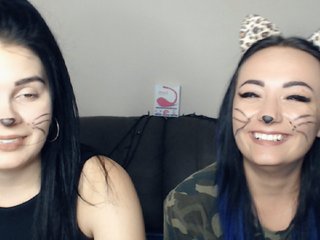  xBlackCats
